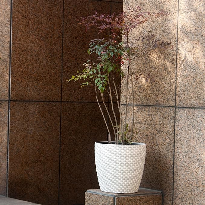 Dexceder 15x14 Self Watering Planter with Wheels (Ivory White Rattan) | Inner Pot Design, Thickened Large Floor Standing Flower Plant Pot with Water Level Indicator Indoor Outdoor