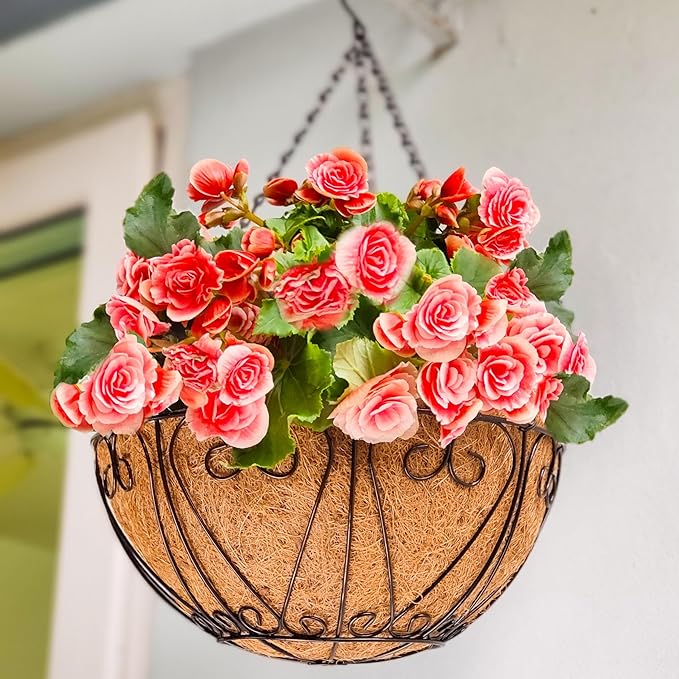 LaLaGreen Hanging Baskets for Plant Outdoor (20 Inch, 2 Pack) Large Black Metal Wire Round Flower Pot Hanging Planter with Coco Liner Holder Hanger Easy Install Modern Garden Balcony Country Decor