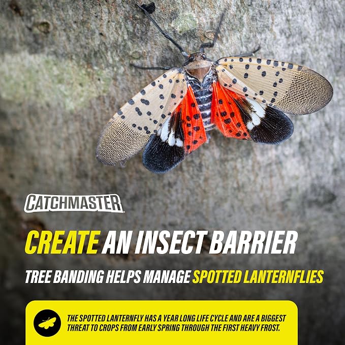 Catchmaster Tree Banding Insect Barrier DIY 15oz Pail, Lanternfly & Ant Traps, Outdoor Adhesive Crawling Insect Trap to Protect Trees, Fruit & Plants