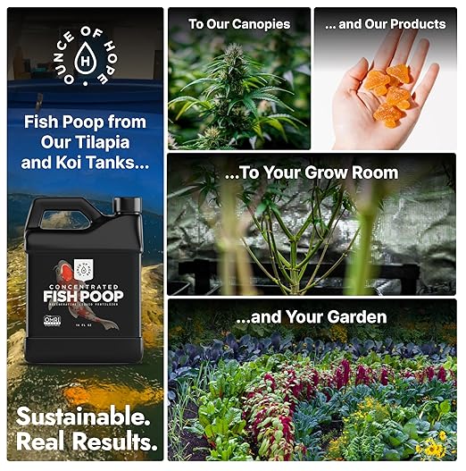 OMRI Listed Organic Concentrated Fish Poop - Liquid Fertilizer & Indoor Plant Food for Vegetable Gardens, Houseplants, Seedlings, Aquaponics & Soil Amendment (1 Gallon - Makes 64)