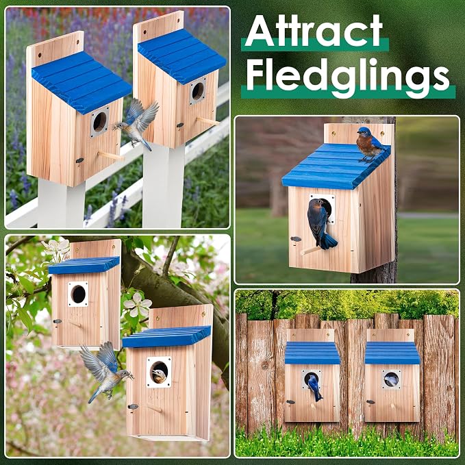 Dreyoo 3 Pack Bluebird Houses for Outside, 1-1/2'' Entrance Hole Wooden Bluebird Houses for Outdoors with Metal Guard, Secure Latch, Fledgling Grooves, Air Vents (Blue Roof with Wood Body)