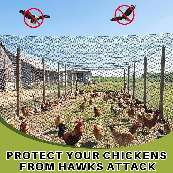 25 x 50 ft Aviary Bird Netting Chicken Netting Commercial Grade Heavy Duty Knotted 2 inch Mesh for Chicken Coops Poultry Blueberries Fruit Trees Net Aviary Garden