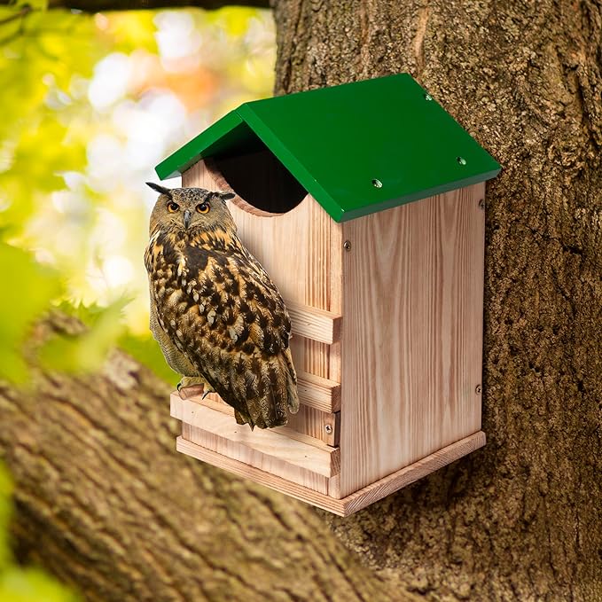 Screech Owl House Owl Box with Bird Stand Design, Nesting Box Wood with Mounting Screws, Cozy House for Lovely Birds, Easy Assembly Required