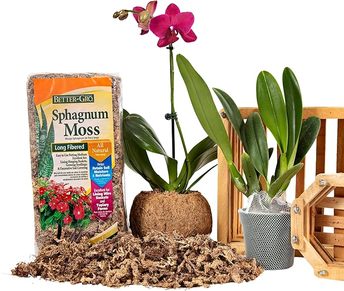 Better-Gro Sphagnum Moss - 100% Natural, Long-Fiber Moss for Orchids, Ferns, and Hostas, Excellent for Hanging Baskets and Propagating Plants - 240 Cubic Inches (Pack of 12)