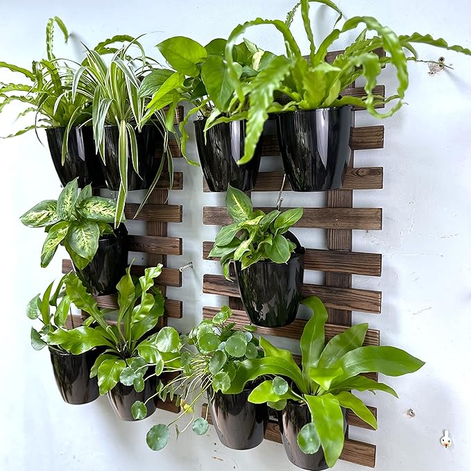 ShopLaLa Bundle- 2 Pack, 11.4 Inch Wooden Plant Holder + 10 Pack, 4 Inch Self Watering Plastic Pot Hanging Vertical Wall Mount Hydroponic Garden Indoor Frame Display Live Air Plants Orchids Decoration