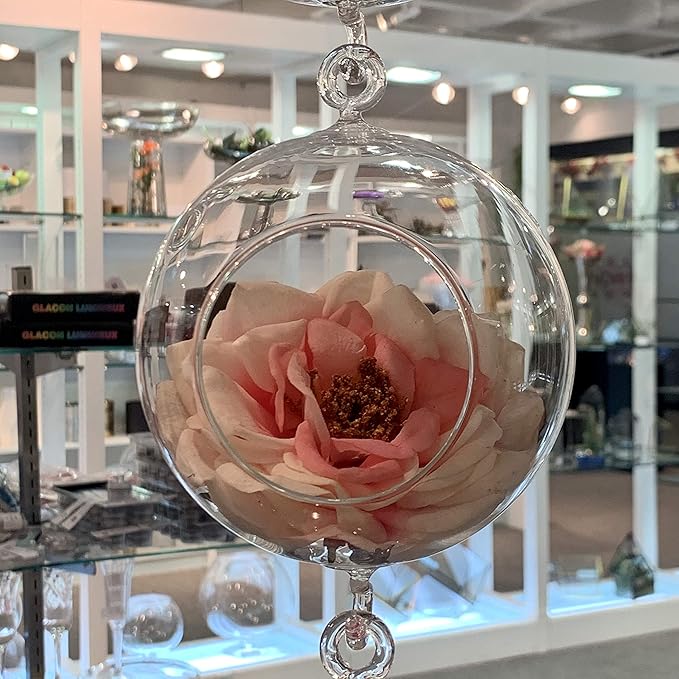 WGV Hanging Terrarium Globe, Width 4", Height 6", Double Hook, DIY Air Succulent Planter, Clear Glass Vase Orb, Candle Holder for Windowsill Outdoor Garden Decor, 1 Piece
