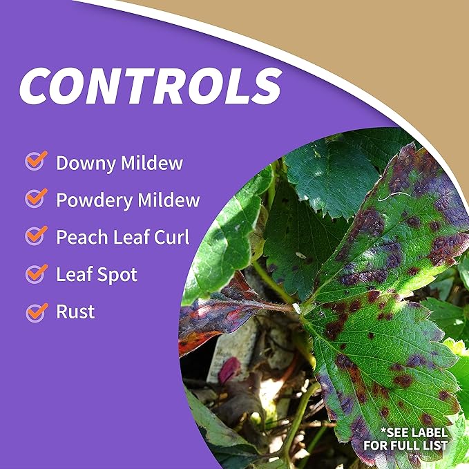 Bonide Captain Jack's Copper Fungicide, 16 oz Ready-to-Spray Disease Control for Organic Gardening, Controls Mildew & Blight