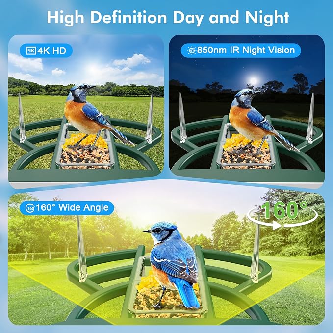 Smart Bird Feeder with Camera Solar Powered, 4K HD Live Video Bird Camera Feeder with AI Identifies,App Control,Instant Arrival Alert,Auto Capture,Motion Detection Bird House (Green)