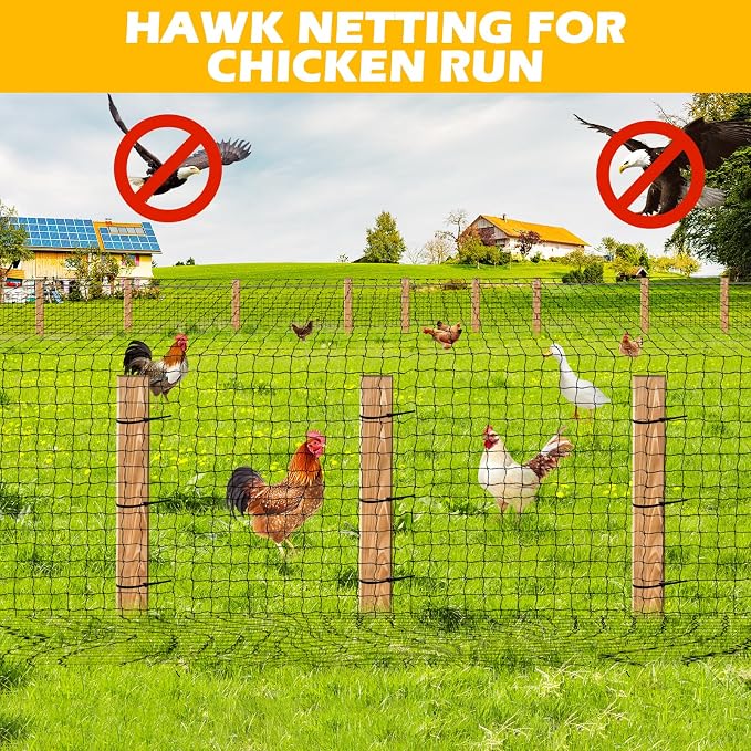 BSTPCOO Bird Netting for Chicken Coop, 25'x50' with 2.4" Square Mesh Poultry Netting Heavy Duty Nylon Nettings for Garden, Aviary Net Fruit Tree Nettings