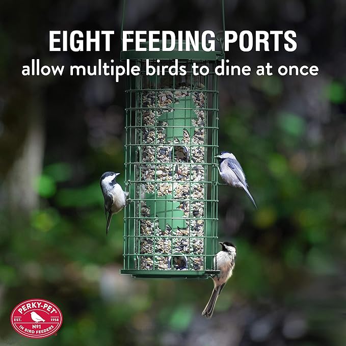 Perky-Pet Squirrel Stumper Wild Bird Feeder - Keep Squirrels Out - 8 Feeding Ports for Wild Birds - 3 lb Wild Bird Seed Capacity - 114G, Green - Decor for Outdoors