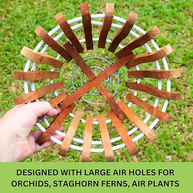 2 Rustic Specialist Orchid Baskets with Hangers for Outdoors, Lotus Flower Shape, 1 is 10 Inches Wide, 1 is 8 Inches, Orchid Tree Hanger