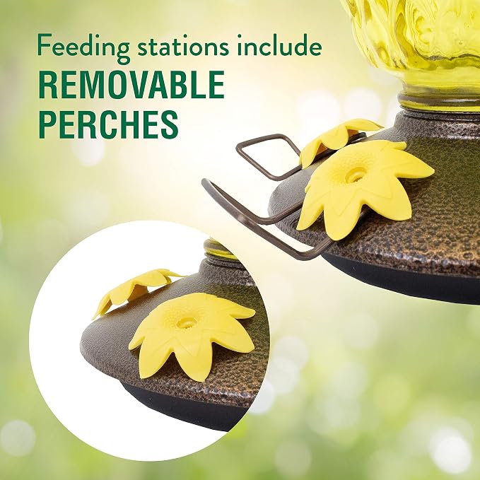 Perky-Pet Pineapple Top-Fill Glass Hummingbird Feeder - 28 oz Nectar Capacity - 9110-2 - Trendy Bird Feeder Outdoors - Feed Humming Birds - Outdoor Decor - Easy to Fill and Clean - 2 Pack