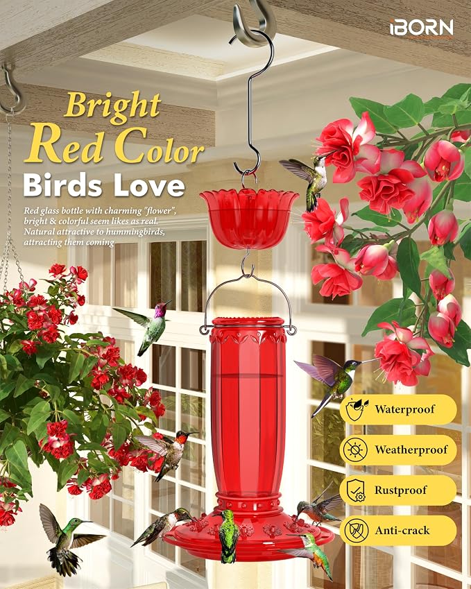 iBorn Hummingbird Feeders for Outdoors Hanging with Ant Moat for Hummingbird Feeder Glass 12 Ports for 16oz Hummingbird Nectar, Red Glass, Pack of 2