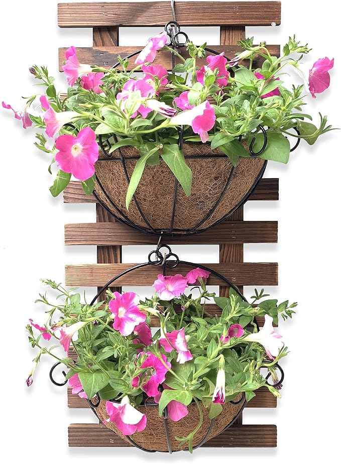ShopLaLa Bundle - Wooden Plants Holder + 2 Hanging Baskets with Coco Liners Wall Mounted Plant Flower Baskets Vertical Garden Wall Decor LaLaGreen