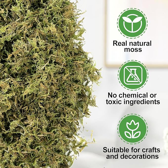 Alphatool 10oz Natural Green Moss for Crafts Beginners - Starter Moss for Plants Indoor, Artificial Fairy Gardens, Mini Mosswall, Glass Terrariums, Filling Fake Plants, Home Decoration