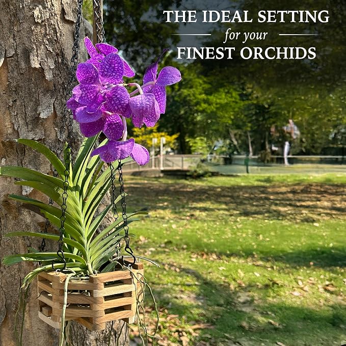 Teak Orchid Hanging Basket Set (4 Pack) – Solid Teak Wood Orchid Planters – Handmade Hanging Baskets for Vanda Orchids & Air Plants (Octagon)