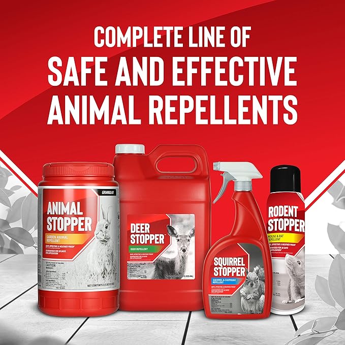 Squirrel Stopper Repellent Spray - Chipmunk & Squirrel Deterrent for Bird Feeders, Garden & Homes - Weather-Resistant Formula - Scent, Taste & Touch Barrier - Safe Around Kids & Pets - 1 Gallon