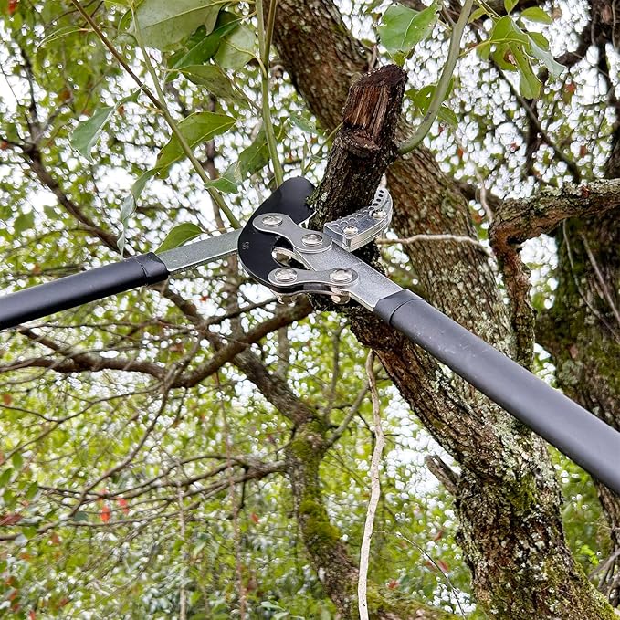YRTSH Loppers for Tree Trimming, Heavy Duty Branch Cutter Tree Clippers with Compound Action, Chops Thick Branch Ease, Garden Lopper Pruning, 32 Inch Tree Trimmer with 2" Clean Cut Capacity