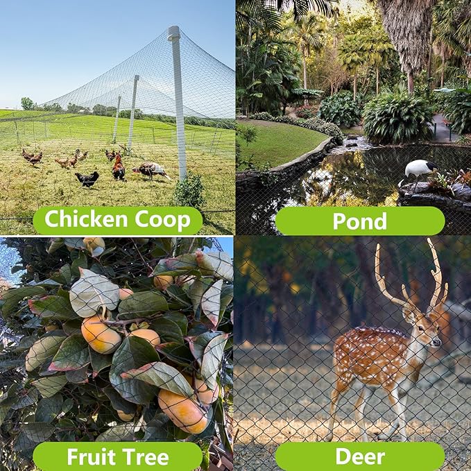 50x100ft Bird Netting for Chicken Coop Poultry Netting 1 inch Mesh Heavy Duty Chicken Coop Cover Netting Roof Hawk Proof Bird Netting for Garden Protection Fruit Tree Netting Against Squirrels Deer