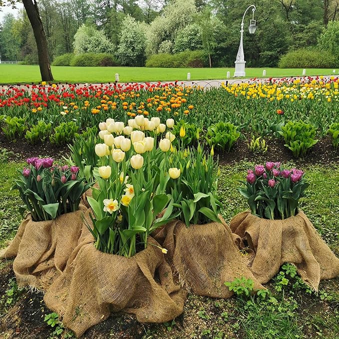 Garden Burlap Roll, 40" X 150 Feet Natural Jute Burlap Fabric Roll for Gardening Raised Bed Liners,Seed Cover,Edging,Weed Barrier,Aisle Runner Plant Cover Tree Protections (40" X 150 Feet)