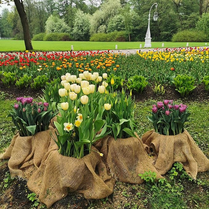 Garden Burlap Roll, 40" x 24 Feet Natural Jute Burlap Fabric Roll for Gardening Raised Bed Liners,Seed Cover,Edging,Weed Barrier,Aisle Runner Plant Cover Tree Protections (40" x 24 Feet)