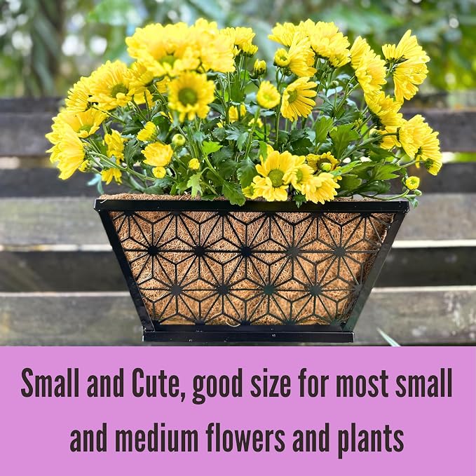LaLaGreen Window Boxes Planter for Outdoor Plants (2 Pack, 12 Inch) Black Metal Small and Cute Rectangular Flower Pot Wall Planters with Coco Liner Horse Trough Deck Railing Garden Balcony Fence Patio
