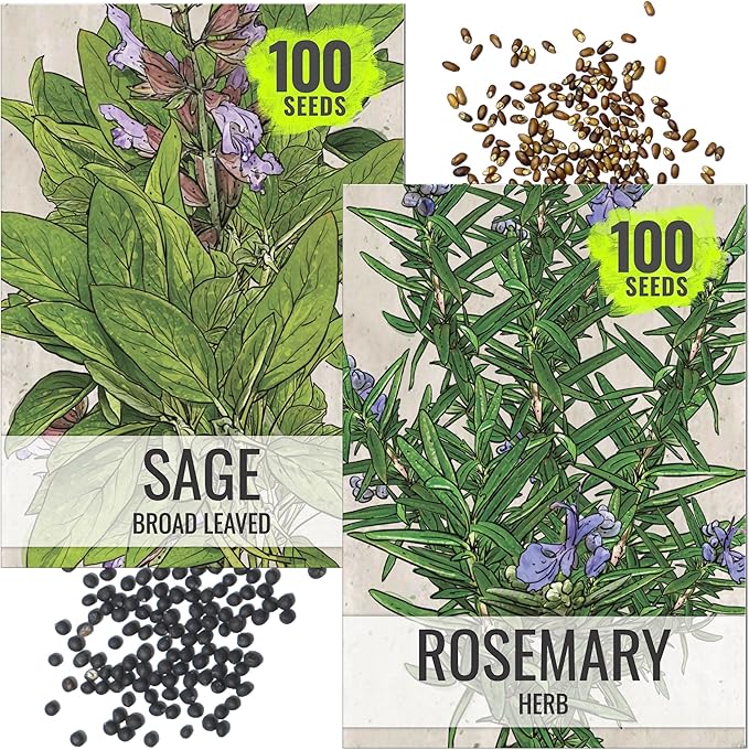 Seed Needs Rosemary & Sage Seeds for Planting Fresh Kitchen Herbs - Non-GMO Heirloom & Untreated Perennial Herb Seed to Plant a Culinary Garden Indoors or Outdoors (2 Pack Duo)