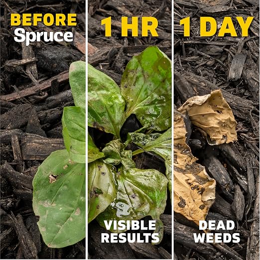 Spruce Weed Killer Refill - Versatile Weed & Grass Killer₃ for Flower Beds, Driveways & Mulch Beds - No Pour, No Mix, No Mess Refill - Kills Dandelions, Crabgrass & More (64 Oz)