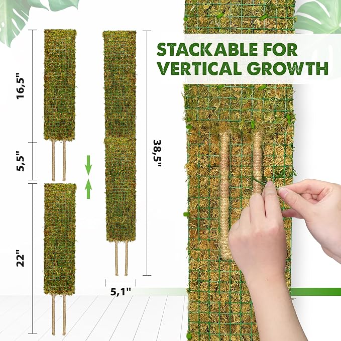 Flat Mesh Moss Pole for Climbing Plants Monstera, Moss Pole for Plants with Real Moss, Moss Plant Pole for Potted Plants, Handmade Moss Stick for Indoor Plants Grow Upward, 1 Pack 22”