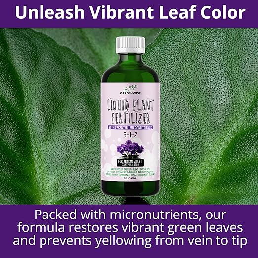 GARDENWISE 3-1-2 African Violet Fertilizer for Indoor Plants: Liquid Fertilizer with Essential Micronutrients Drops - Plant Food for African Violets (16 OZ)