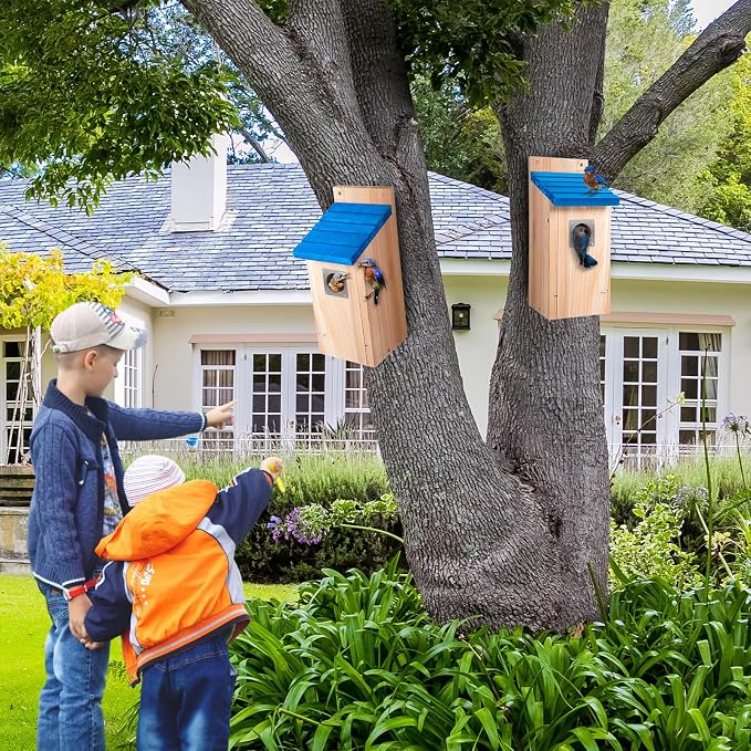 Dreyoo 3 Pack Bluebird Box Houses for Outside,1-1/2'' Entrance Hole Wooden Bird Houses with Metal Guard, Secure Latch,Fledgling Grooves,Air Vents for Bluebird Wren Swallow (Blue Roof,Wood Body)