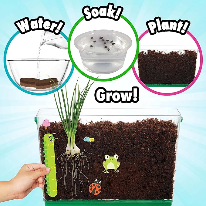 Creative Kids Miracle GRO Root Viewer Garden Kit - Educational STEM Set with Soil & Seeds for Kids Age 6+, Plant Growing Science Lab