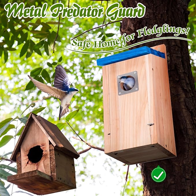 Dreyoo 3 Pack Bluebird Box Houses for Outside,1-1/2'' Entrance Hole Wooden Bird Houses with Metal Guard, Secure Latch,Fledgling Grooves,Air Vents for Bluebird Wren Swallow (Blue Roof,Wood Body)