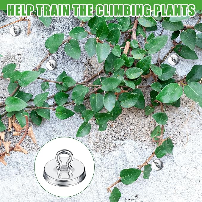 WILLBOND Plant Anchor Kit, 80 Pcs Vine Anchors 5 Pack Silicone Adhesive Sealant Garden Tie Tape Metal Wire Wire Cutters for Spring Trellis Vine and Stucco Brick Wall Climbing Plants Supplies(Silver)