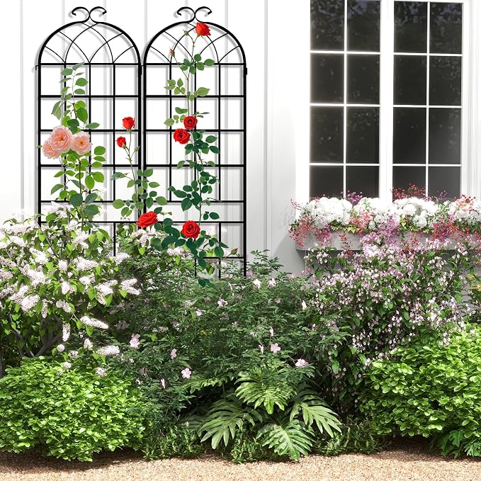 LZRS 2 Pack 83x20in Rustic Iron Arch Decoration Garden Trellis with Black Metal Coating – Perfect for Supporting Climbing Plants Outdoor, Roses, Vines, Flowers, and Vegetables.
