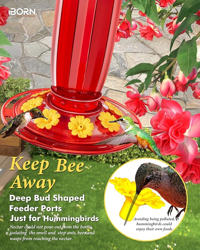 iBorn 16oz Glass Hummingbird Feeders for Outdoors Hanging with Ant Moat&28 Inch Fence Deck Hook Rail Heavy Duty Hummingbird Feeder Hanger,Solid Wire, 180 Degree Rotary, 1 Pack