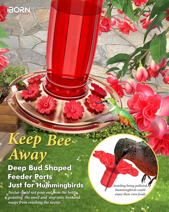 iBorn Glass Hummingbird Feeder for Outdoors Hanging,8 Ports for 16oz,Red+19.5” Oversized Birdfeeder Baffle, Squirrel Defender,Chew-Proof PC, Transparent