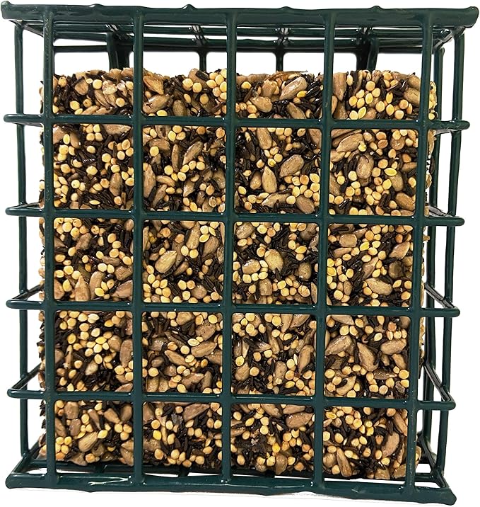 Wildlife Sciences Songbird Treats Seed Bars | 12 Pack of 7 oz Bird Seed Cakes for Wild Birds (Sunny Mealworm)