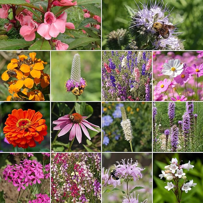 Ferry-Morse Flower Seeds - Bumblebee Buffet Wildflower Mix, Non-GMO, Full Sun, Outdoor - 1 lb