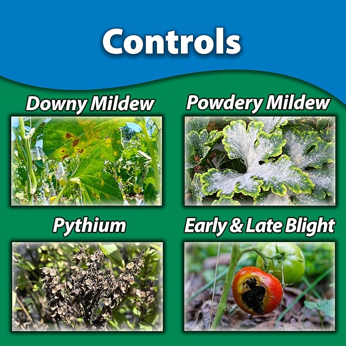Monterey Liqui-Cop Bundled with Garden Measuring Spoon - Copper Fungicidal Garden Spray for Disease Prevention in Plants, Ready to Spray, 1 Quart