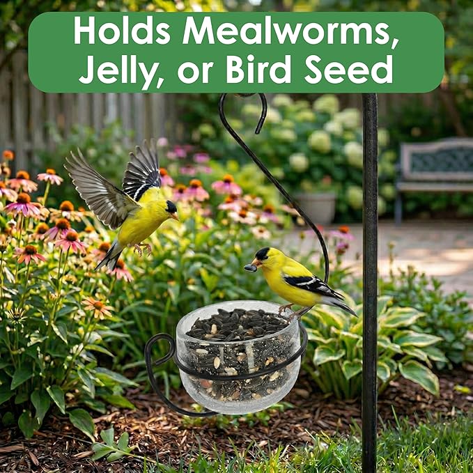 Clear Glass Hanging Bird Feeder - Removable Bowl for Mealworms, Jelly, Nectar, Seed & Fruit - Decorative Wire Hook - Versatile Outdoor Treat Feeder for Bluebirds, Orioles & More