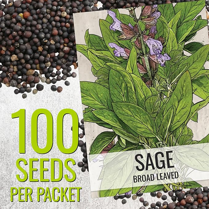 Seed Needs Rosemary & Sage Seeds for Planting Fresh Kitchen Herbs - Non-GMO Heirloom & Untreated Perennial Herb Seed to Plant a Culinary Garden Indoors or Outdoors (2 Pack Duo)