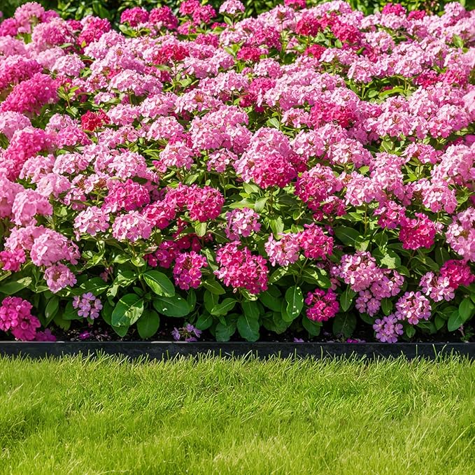 Garden Edging Border, 50FT 2-Inch Flexible Landscape Edging with 48 Stakes, Tool-Free Plastic Lawn Border for Flower Bed Edging Borders, Yard & Landscaping Projects