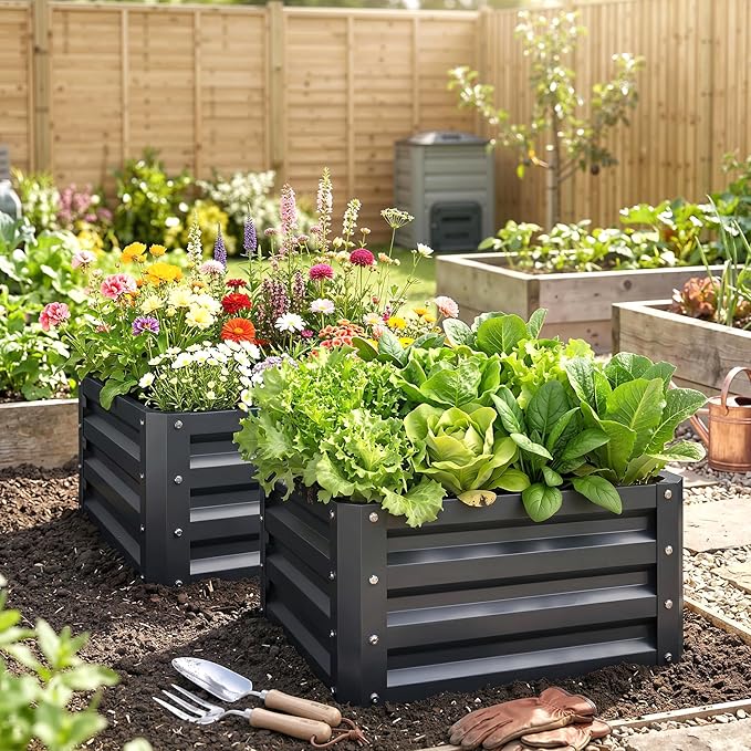 Outsunny 2 Piece Galvanized Raised Garden Bed, 2' x 2' x 1' Metal Planter Box for Growing Vegetables, Flowers, Herbs, Succulents, Dark Gray