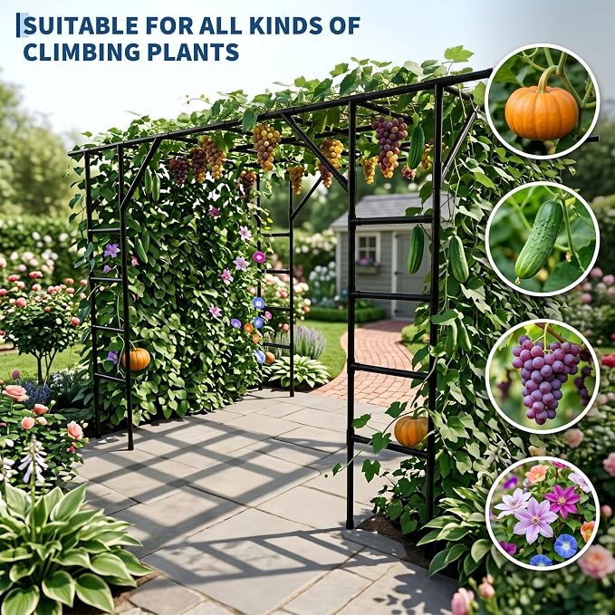 Large Grape Vine & Cucumber Trellis, 11FT Large Outdoor Garden Arch Trellis, Outdoor Plant Stand