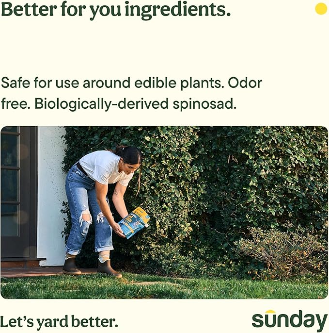 Sunday Ant Adios - Bug & Ant Killer - Outdoor Insect Control Uses Spinosad to Eliminate Ants, Earwigs, Cutworms, & More - Treats 4,000 sq ft - Results in 3-14 Days - 2 Pack, 2lbs