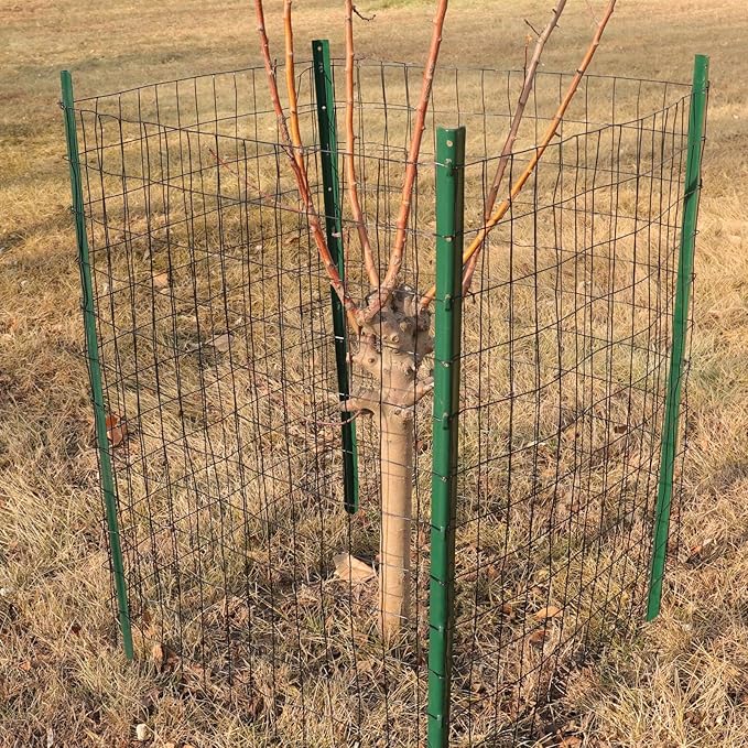 FOREHOGAR Black PVC Coated Welded Wire Fence 24 Inch x 25 Foot, 2 Inch x 3 Inch 16GA, Garden Border Fencing Roll Vinyl Coating Metal Wire Mesh for Yard Vegetable Plant Protection Poultry Netting