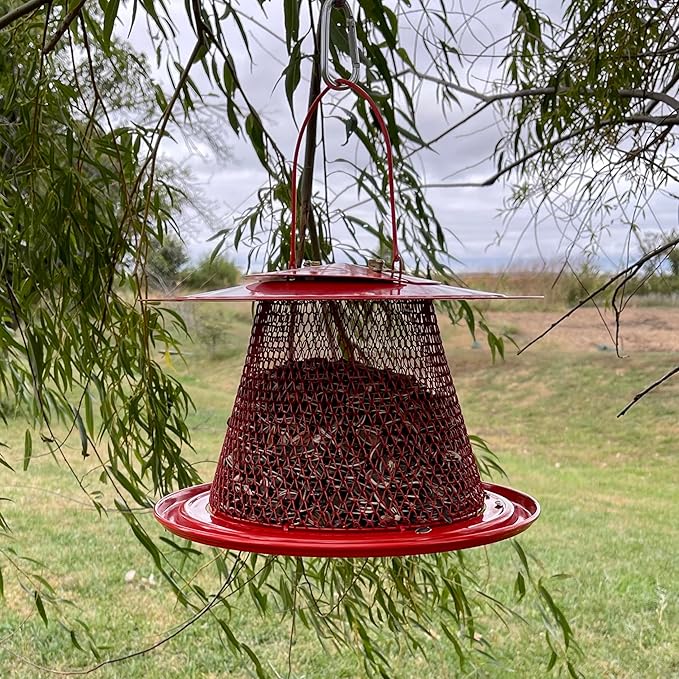 Collapsible Metal Mesh Bird Feeder with Tray - Red Cardinal Bird Feeder - Holds 12 Cups of Sunflower Seeds