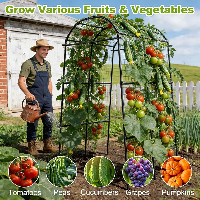Miory Garden Arch Trellis for Climbing Plants Outdoor, 7ft Tall Plants Support Trellis for Climbing Vine Tomato Vegetable Flower Fruit, Cucumber Trellis for Raised Bed (71 x 83 Inch)