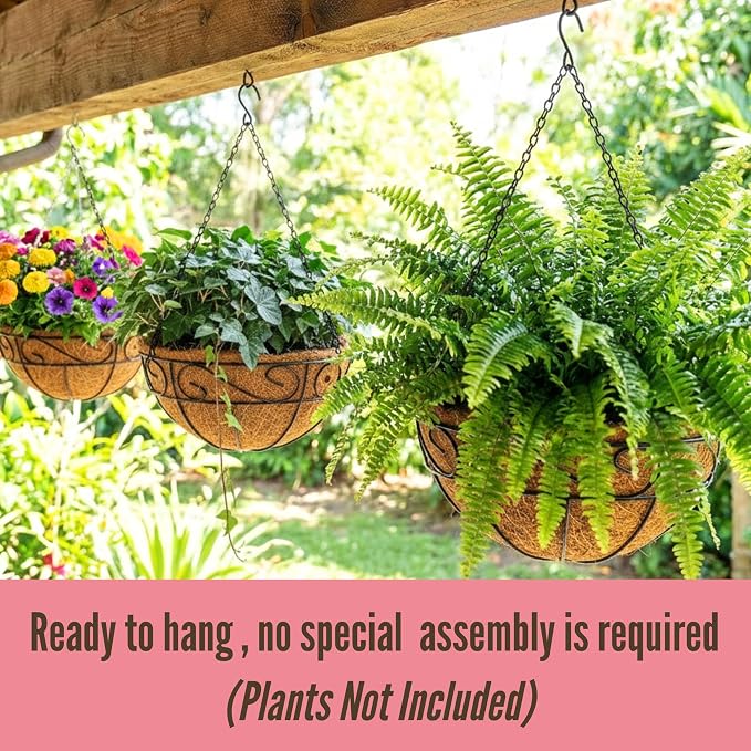 LaLaGreen Hanging Planter for Outdoor Plants (20 Inch, 2 Pack) Hanging Baskets with Coco Liner, Black Metal Wire Flower Basket Pots with Hook Hanger Balcony Porch Farmhouse Country Style Garden Decor
